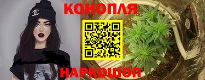 гидропоника Пугачёв