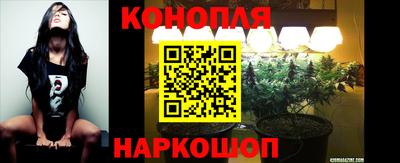 ГАЛЛЮЦИНОГЕННЫЕ ГРИБЫ Пушкино