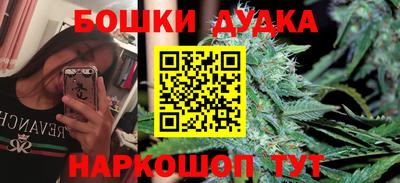 гидропоника Пугачёв