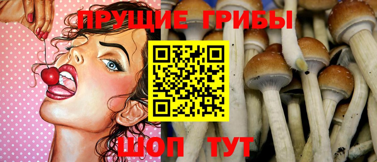 Сальск  Псилоцибиновые грибы MAGIC MUSHROOMS  Вход с VPN 