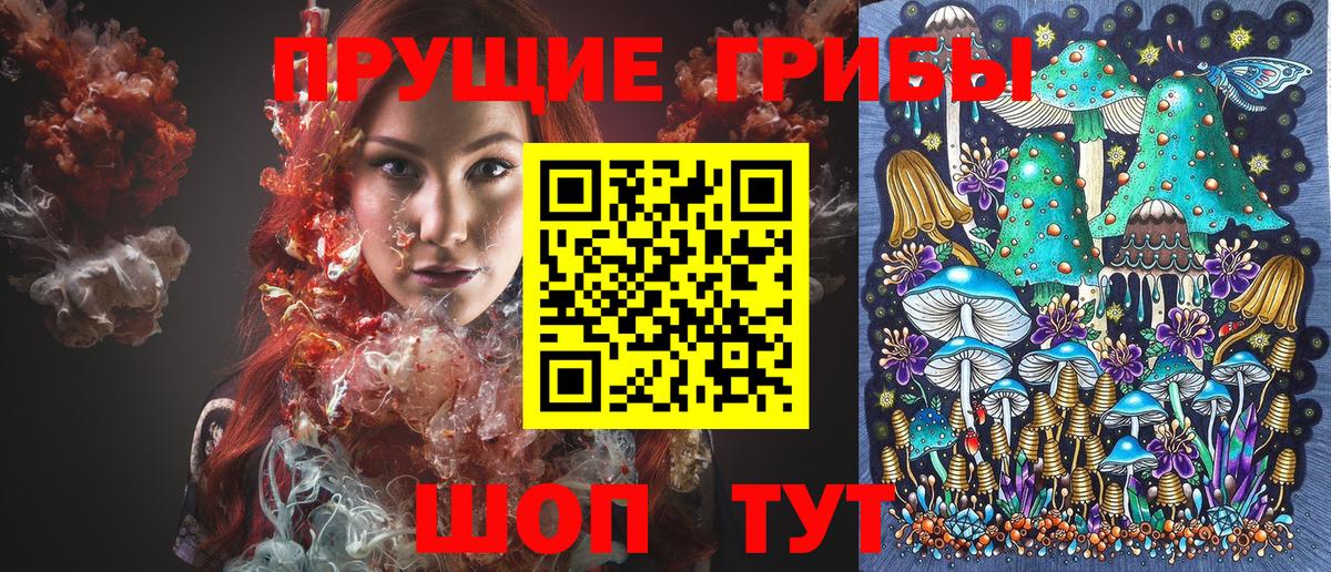 Галлюциногенные грибы прущие грибы Сальск